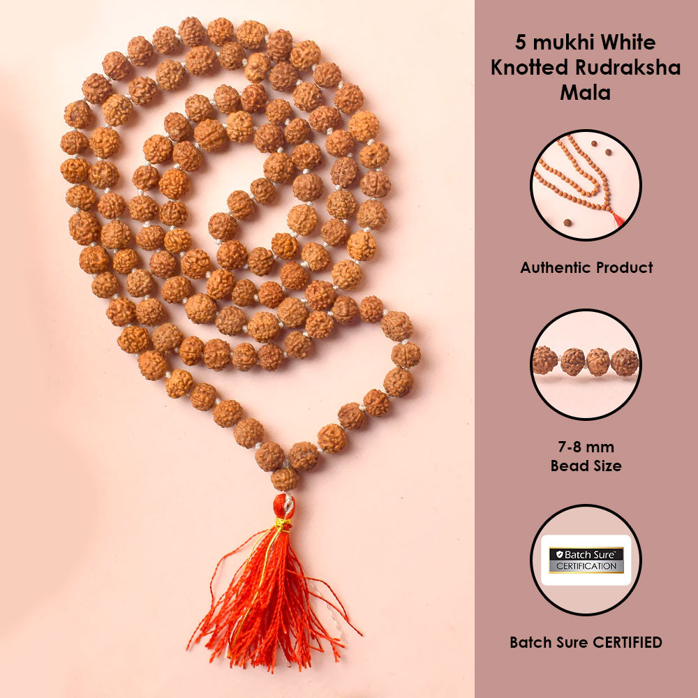 5 Mukhi Pahtariya Rudraksha Mala 7-8mm