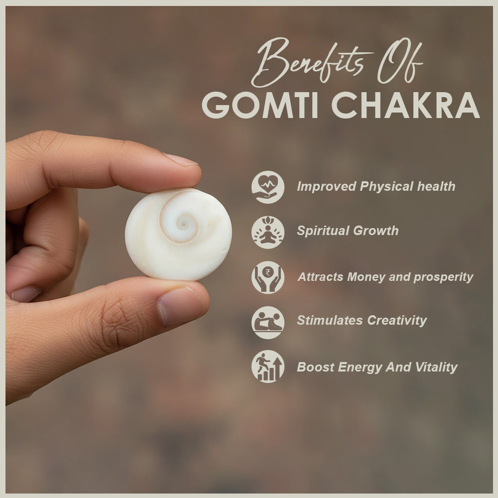 Gomti Chakra 51 Pcs