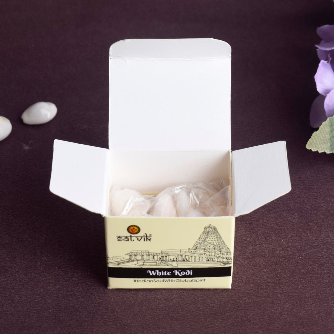 White Kodi for Pooja (11 Pc) – Sacred Cowrie Shells for Daily Pooja Needs