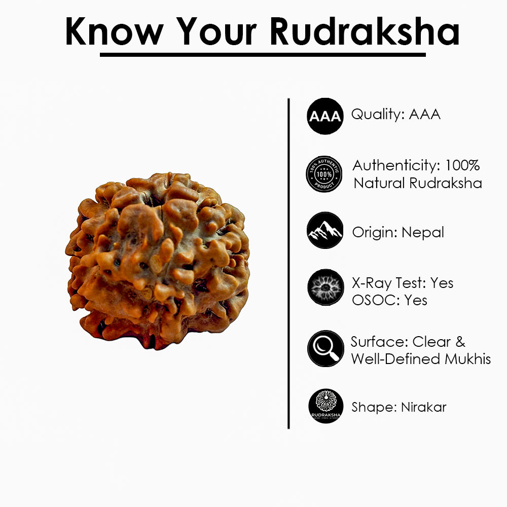 Nirakar Rudraksha Bead (Regular)