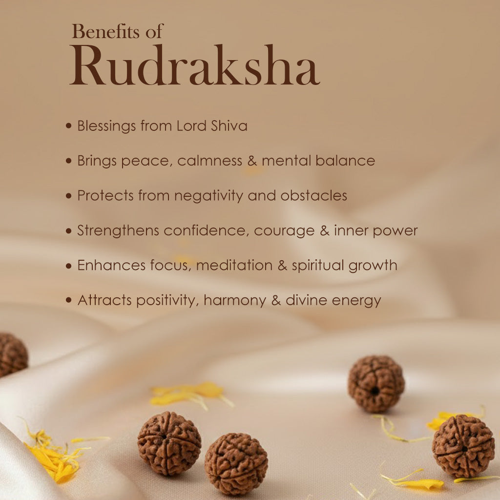 5 Mukhi 10 MM Rudraksha Mala – Natural Spiritual Healing Beads