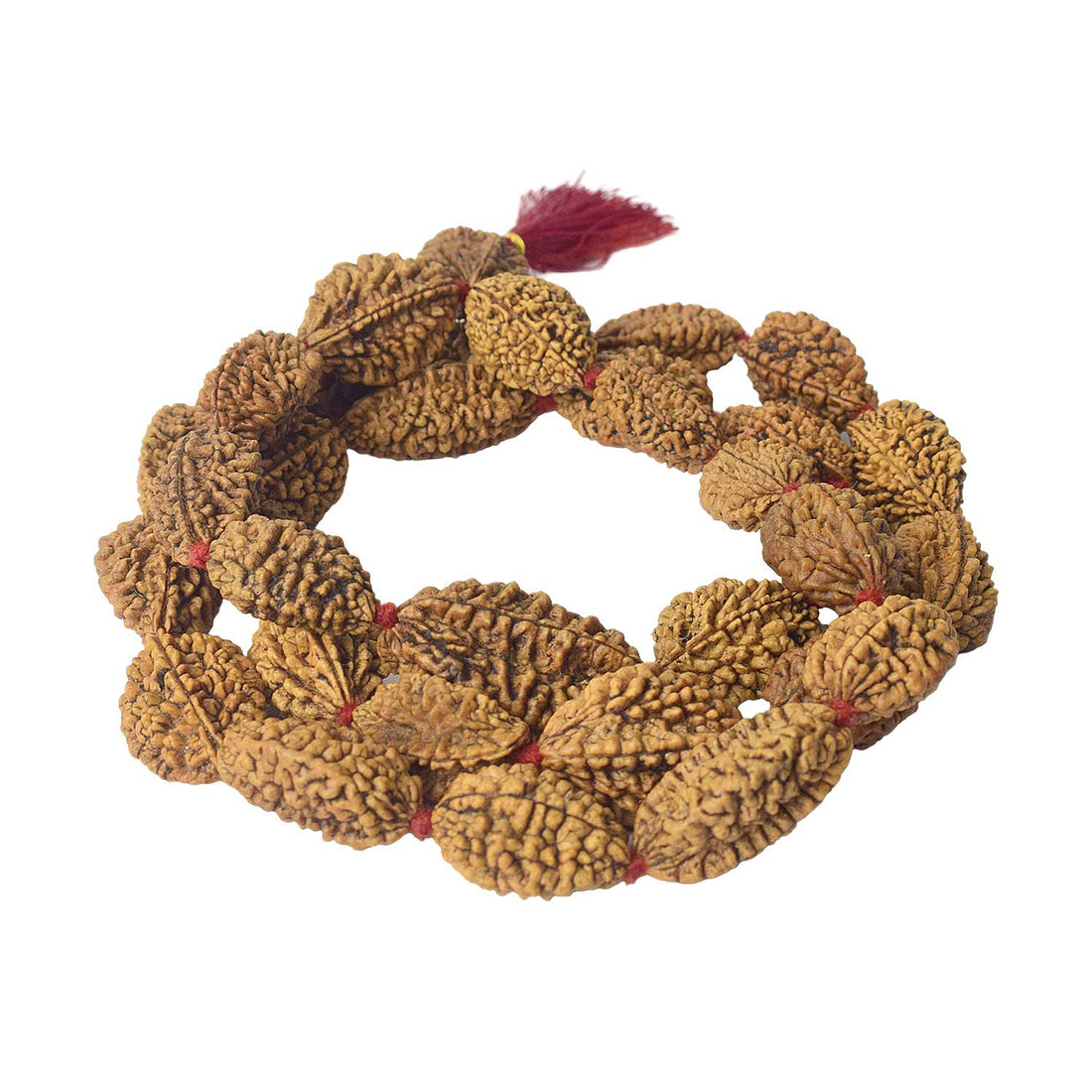 2 Mukhi Kantha Rudraksha Mala