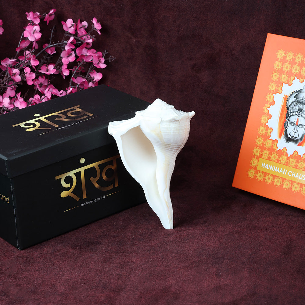 Sacred Dakshinavarti Valampuri Shankh 12.7 cm natural right-handed conch shell for puja, vastu, and spiritual rituals. India’s Largest Pooja Accessories Brand – www.satvikstore.in