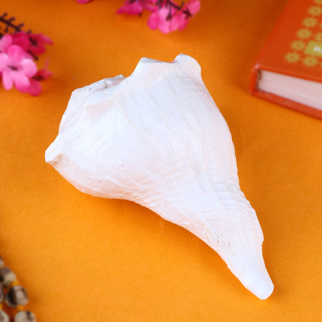 Authentic Dakshinavarti Shankh (Conch Shell) 10cm, a sacred right-handed conch symbolizing wealth, prosperity, and divine blessings, ideal for pooja and spiritual practices.
India’s Largest Pooja Accessories Brand – www.satvikstore.in
