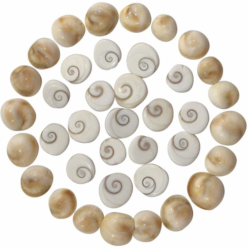 The Gomti Chakra 51 Pcs set includes sacred and powerful Gomti Chakras, ideal for pooja, spiritual rituals, and blessings. Known for their divine significance, these chakras bring prosperity, success, and protection, while attracting positive energy – India’s Largest Pooja Accessories Brand – www.satvikstore.in