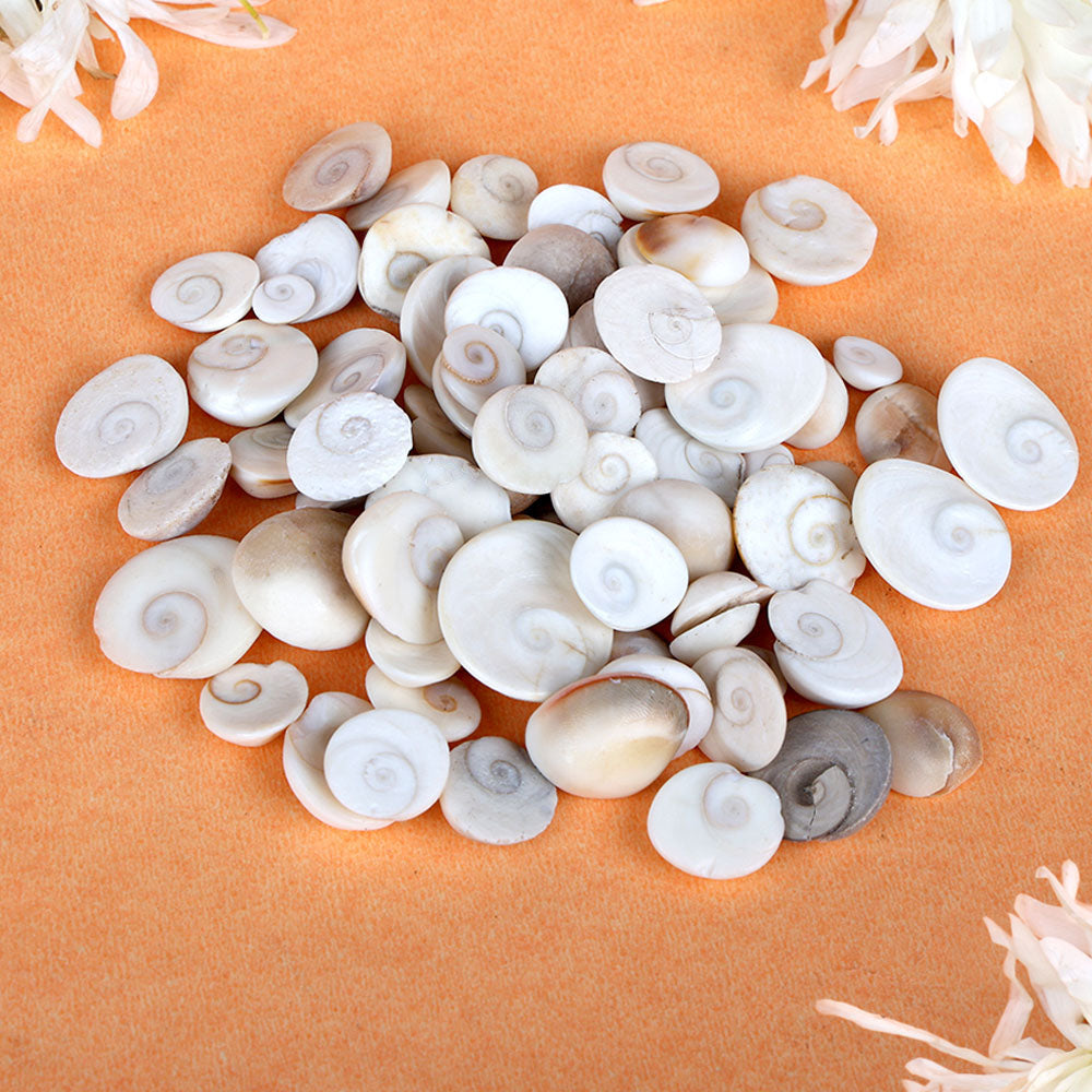 Gomti Chakra 51 Pcs