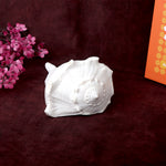 16.5 cm Natural Dakshinavarti Valampuri Shankh – Sacred Shell