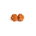 9 Mukhi Gauri Shanker Rudraksha (Regular)