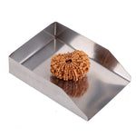 14 Mukhi Rudraksha (29.03mm)