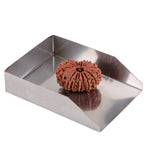 14 Mukhi Rudraksha (29.60mm)