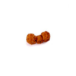 Trijuti Rudraksha
