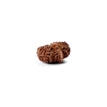 17 Mukhi Rudraksha