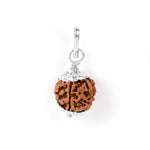 5 Mukhi Rudraksha Pendant with Silver Cap (with Hook)