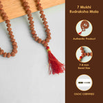 7 Mukhi Pathariya Rudraksha Mala 7-8mm