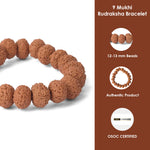 9 Mukhi Rudraksha Bracelet