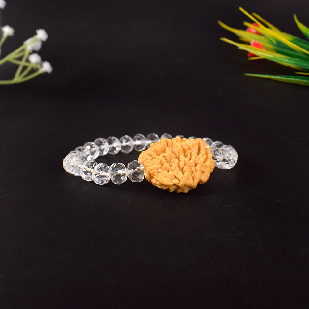 2 Mukhi Rudraksha Glass crystal beads Bracelet