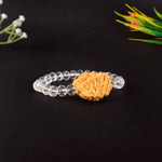 2 Mukhi Rudraksha Glass crystal beads Bracelet