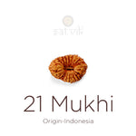 21 Mukhi Rudraksha bead natural Indo twenty one face Rudraksha. India’s Premium Rudraksha Beads Brand - www.satvikstore.in