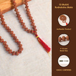 10 Mukhi Pathariya Rudraksha Mala 9-10mm