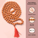 Semi Pathriya Rudraksha Mala 10-11mm