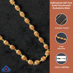 Hallmarked 22K Pure Gold Panchmukhi Rudraksha Mala