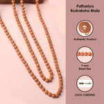 5 Mukhi Pathariya Rudraksh Mala 108 Beads 7mm