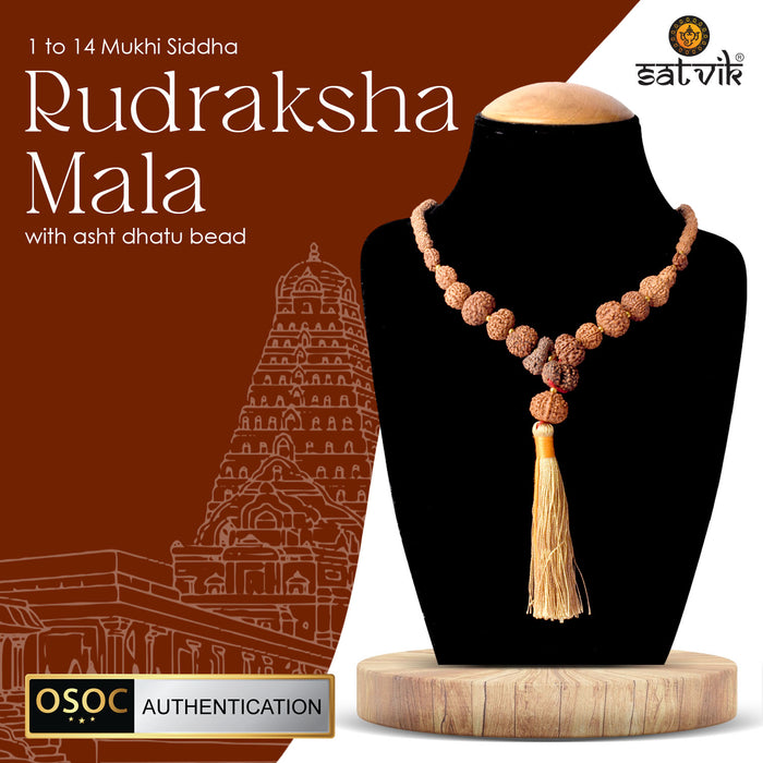 1–14 Mukhi Siddh Rudraksha Mala with Energized Asht Dhatu Bead – Certified Original Spiritual Mala for Protection and Divine Power. India’s Largest Pooja Accessories Brand - www.satvikstore.in 