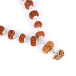 Siddha Mala with 1 Mukhi Half Moon (Collector Rudraksha, Nepal)