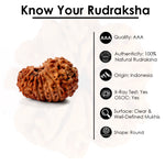 18 Mukhi Rudraksha