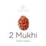 2 Mukhi Rudraksha bead natural Nepali 18.85mm two face Rudraksha. India’s Premium Rudraksha Beads Brand - www.satvikstore.in