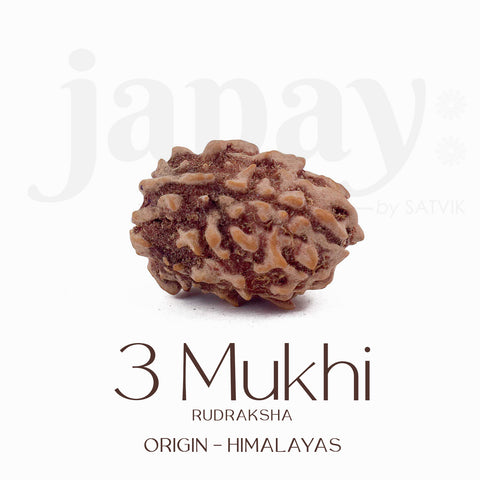Certified 3 Mukhi Kantha Rudraksha Mala with light brown beads for spiritual healing, meditation, and emotional strength. India’s Largest Pooja Accessories Brand - www.satvikstore.in