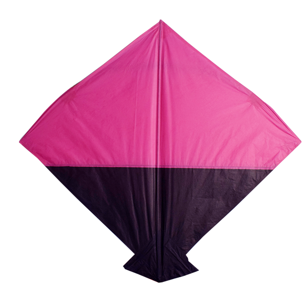 Classic Kite Elegance (Pack of 10)