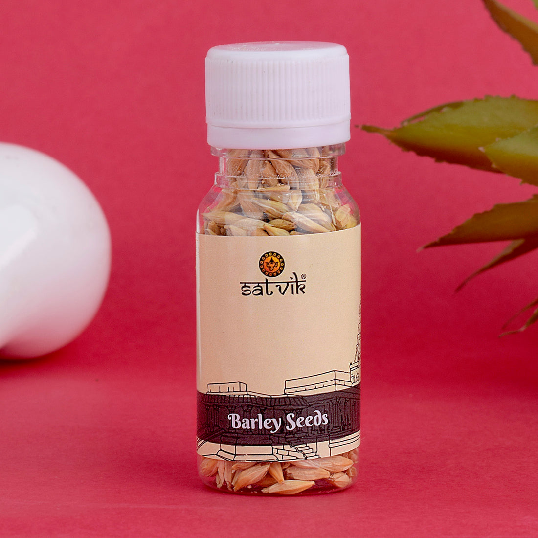 Barley Seeds (Jau) For Hawan & Puja and For Navratri