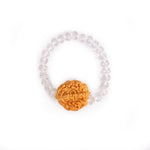 2 Mukhi Rudraksha Glass crystal beads Bracelet