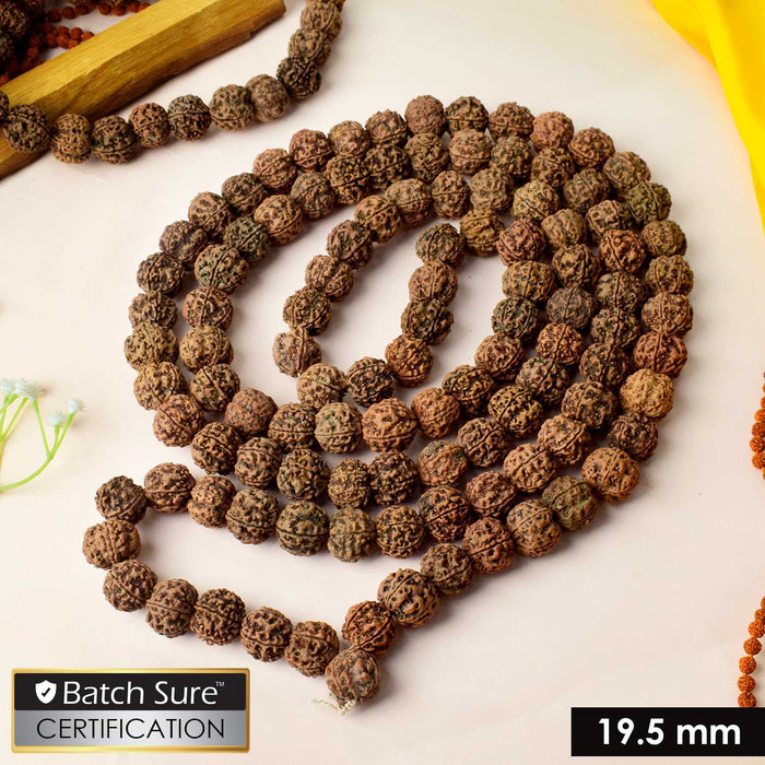 5 Mukhi Special Kantha Rudraksha mala featuring premium five-faced Rudraksha beads, designed for spiritual balance, meditation, and holistic healing. India’s Premium Jap Mala Store - www.satvikstore.in