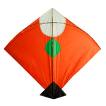 Classic Kite Elegance (Pack of 10)