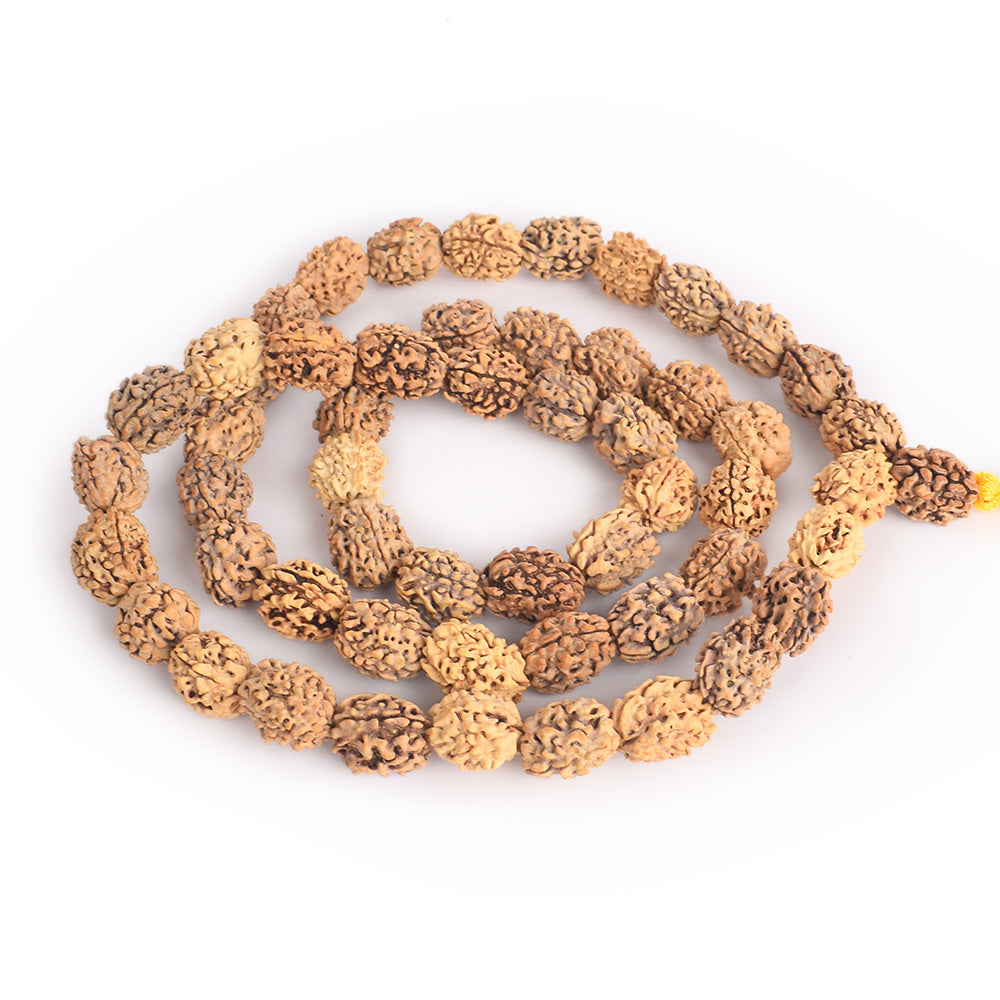 3 Mukhi 15-16mm Kantha Rudraksha Mala