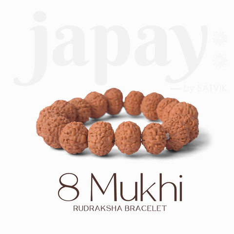 8 Mukhi Rudraksha Bracelet