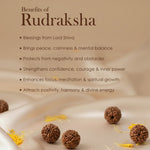 5 Mukhi Special Kantha Rudraksha Mala