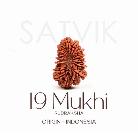 Certified 19 Mukhi Rudraksha Bead – Indonesian origin spiritual bead representing Lord Vishnu, known for abundance, success, and protection in all endeavors. India’s Largest Brass Idols Brand - www.satvikworld.com