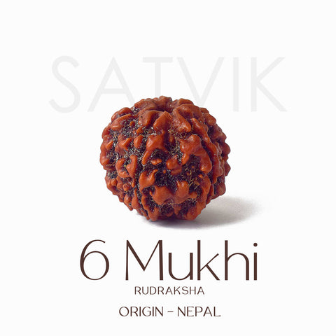 Certified 6 Mukhi brown Rudraksha bead placed on red fabric, symbolizing courage, focus, and inner discipline for spiritual and professional growth. India’s Largest Pooja Accessories Brand - www.satvikstore.in