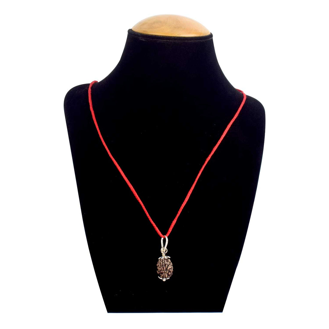 Certified 3 Mukhi Rudraksha Pendant