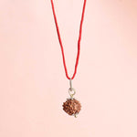 Certified 6 Mukhi Rudraksha Pendant