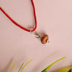 Certified 14 Mukhi Rudraksha Pendant