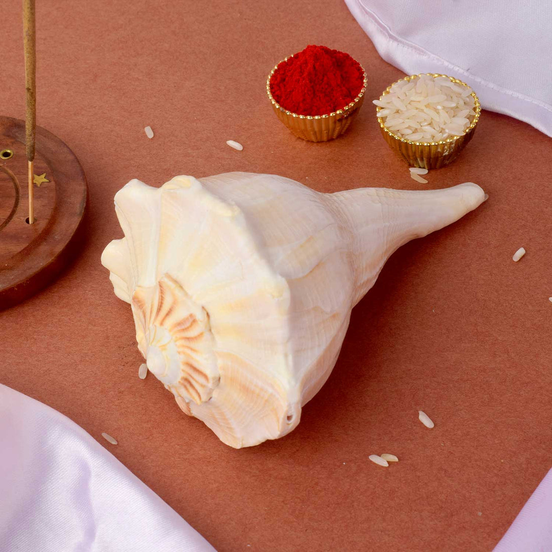 Natural Dakshinavarti Shankh (Conch) for Lakshmi Blessings – 12-13 cm