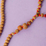 1 to 14 Mukhi Siddh Rudraksha Mala Certified & Authentic