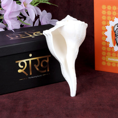 Authentic Dakshinavarti Shankh, a sacred right-handed conch shell revered for attracting wealth and positive energy, ideal for pooja, vastu, and spiritual rituals. 
India’s Largest Pooja Accessories Brand – www.satvikstore.in 