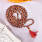 2 Mukhi Pathariya Rudraksha Mala (6-7mm)