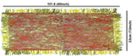 Mata ki Chunari 12 Pc 33.03 x 101.6cm (13x40 Inch)