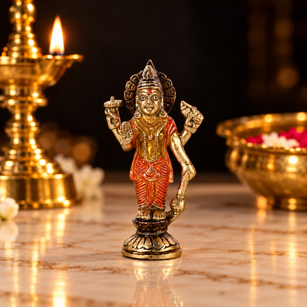 Elegant Brass Standing Lord Vishnu Idol